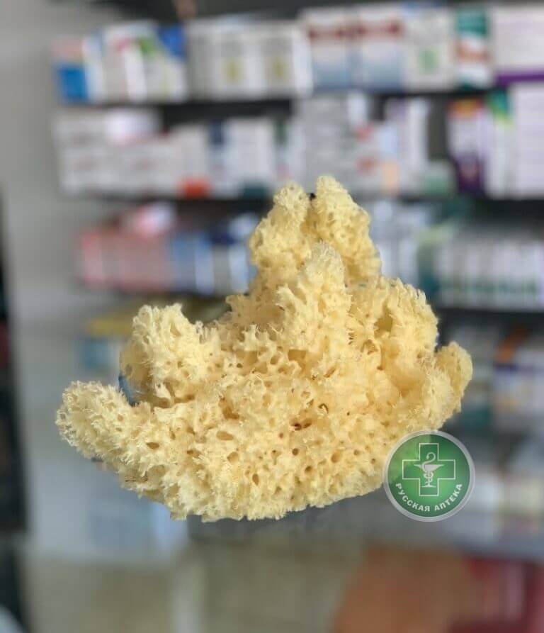 Washcloth made of natural sea sponge 1 piece