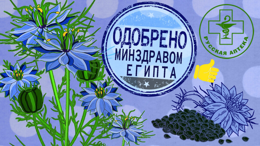 В ЧЕМ ПОЛЬЗА МАСЛА ЧЕРНОГО ТМИНА? 