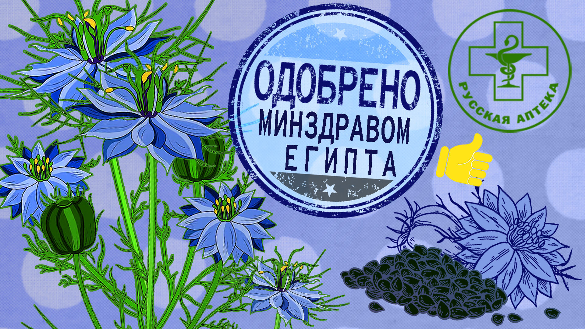 В ЧЕМ ПОЛЬЗА МАСЛА ЧЕРНОГО ТМИНА? 