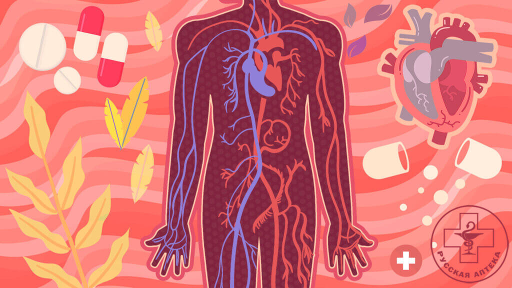 КАК ПРАВИЛЬНО ПРОВОДИТЬ ПРОФИЛАКТИКУ ТРОМБОВ И БЛЯШЕК? 