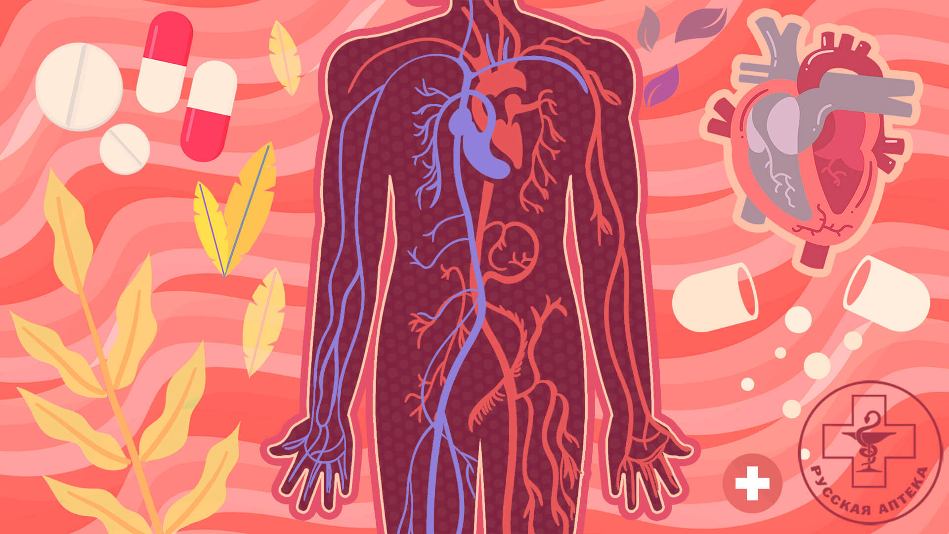 КАК ПРАВИЛЬНО ПРОВОДИТЬ ПРОФИЛАКТИКУ ТРОМБОВ И БЛЯШЕК? 